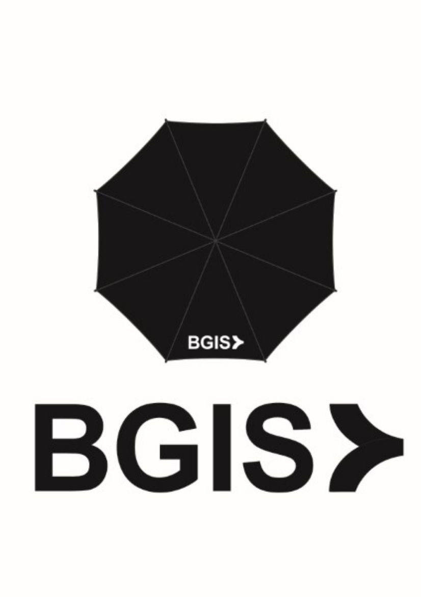 Picture of Eagle Umbrella Black with BGIS 1 Colour Print White