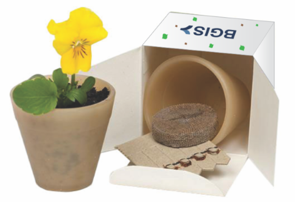 Picture of Biopot, 1 Seed Variety Including BGIS Logo Printed Full Colour on 100% Recycled Outer Box