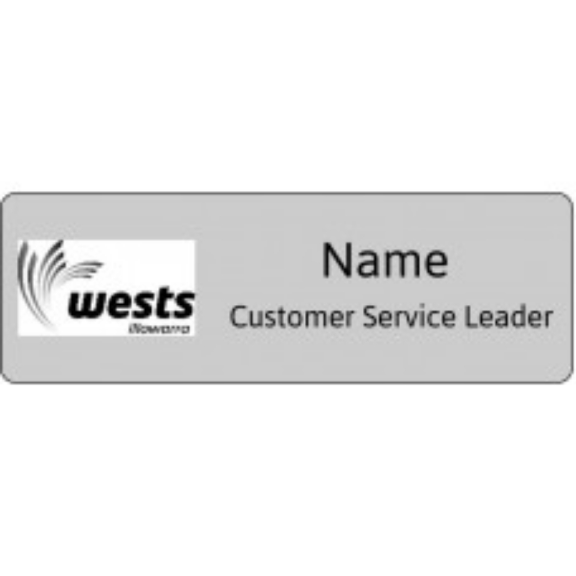 Picture of Badge Brushed Silver Resin Domed 75mm x 25mm Magnetic Fitting - Wests Illawarra - Customer Service Leader ****NAME****