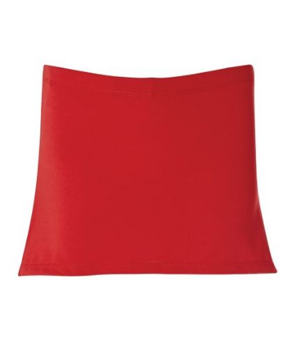 Picture of Podium Girls Skorts