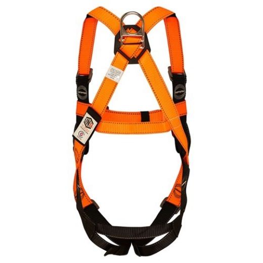 Picture of Linq Essential Harness Stainless Steel (M-L)