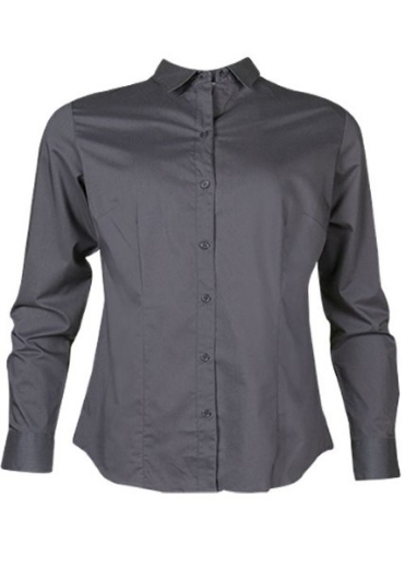 Picture of AP Business Ladies Long Sleeve Mosman Shirt