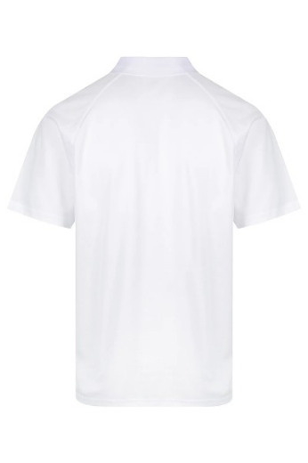Picture of Aussie Pacific Mens Keira Polo Shirt