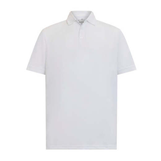 Picture of Sporte Leisure Men's Aero Polo Shirt