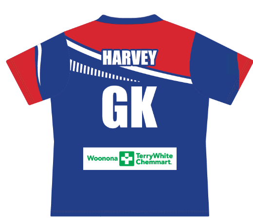 Picture of Sublimated Training T-shirts Adults