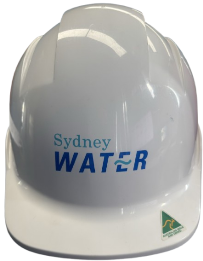 Picture of Pro-Choice Hard Hat V6 Vented Pushlock Harness White D4C Logo 5 Colour Print, 3 Position