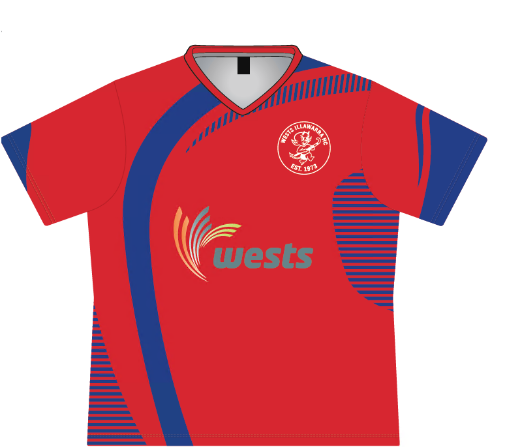 Picture of Sublimated Players T-shirts Kids Waffle Knit Including Name & Number