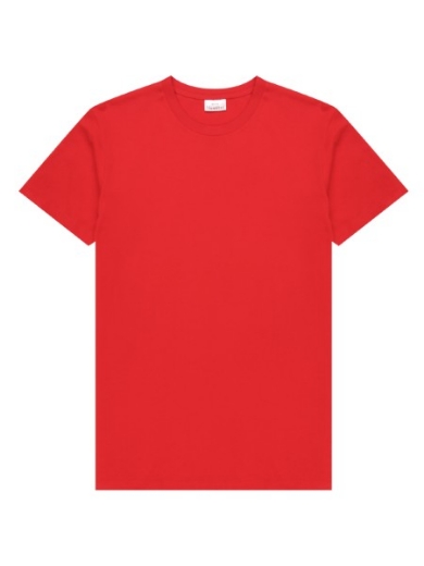 Picture of Identitee Mens Benny T-Shirt